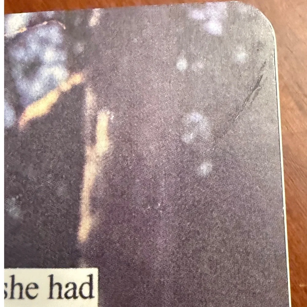 She Had Not Yet Decided Journal, Anne Taintor, notebook‎ blank retro 5x7